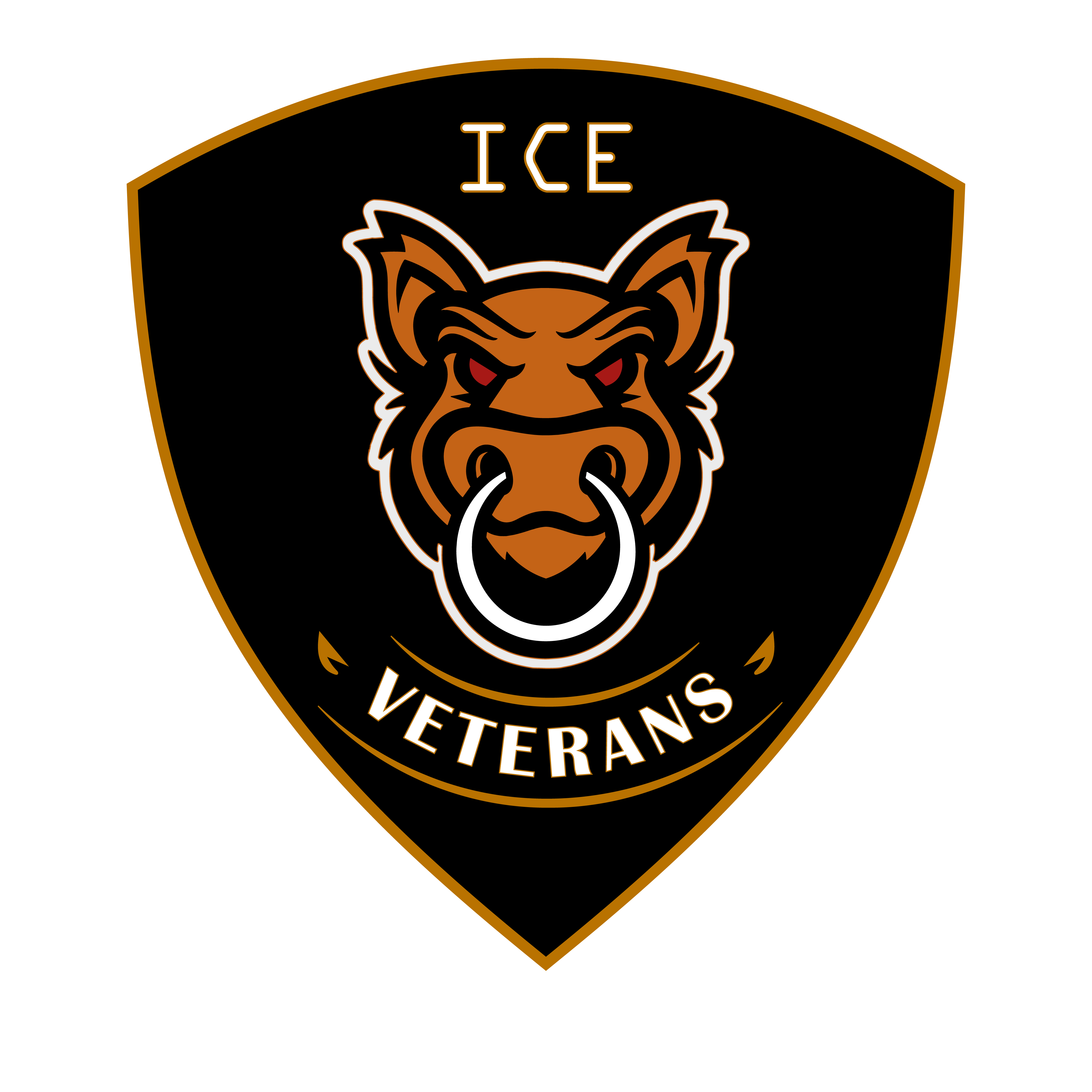 ICE Veterans